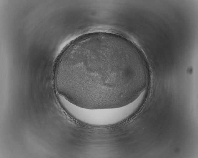 X0000111911312200908171252