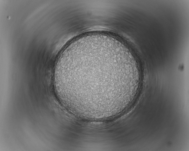 X0000111911313200908171252