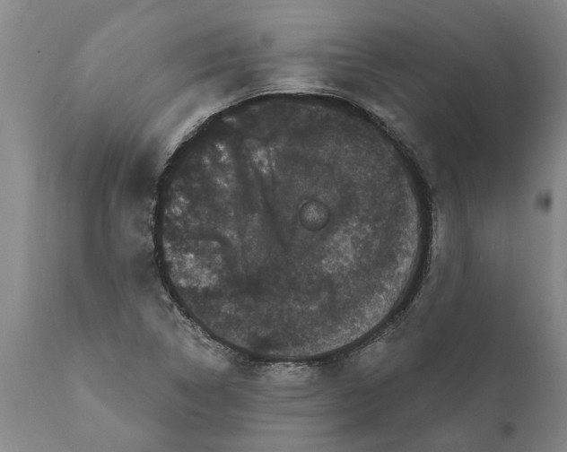 X0000111911314200908171252