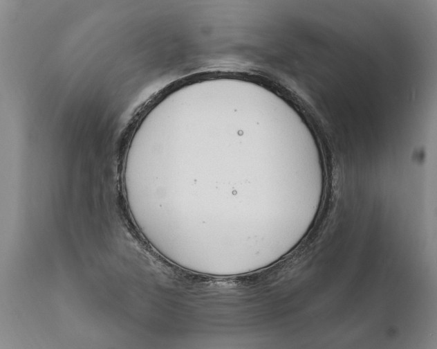 X0000111911315200908171252