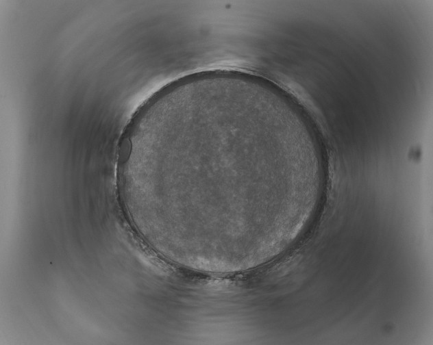 X0000111911316200908171252