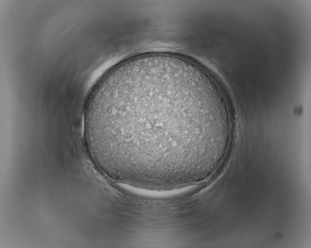 X0000111911317200908171252