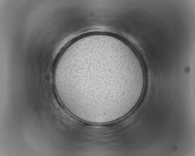 X0000111911318200908171253