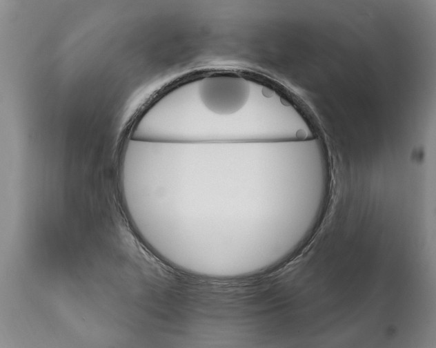 X0000111911319200908171253