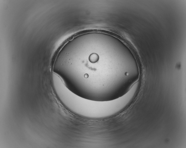 X0000111911320200908171253