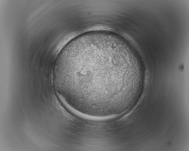 X0000111911321200908171253