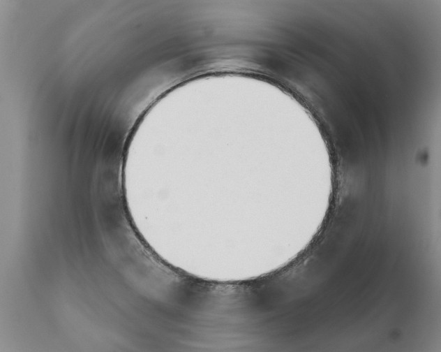 X0000111911322200908171253