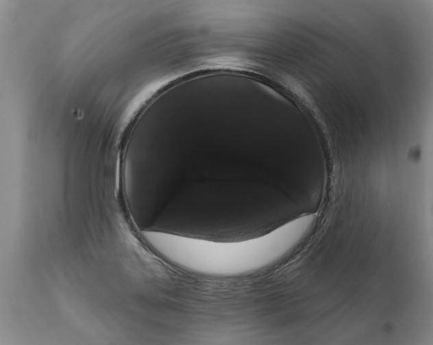 X0000111911323200908171253