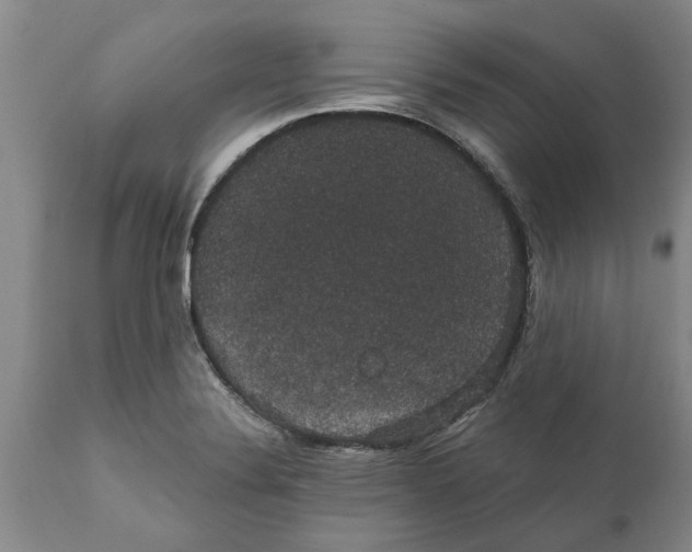 X0000111911324200908171253