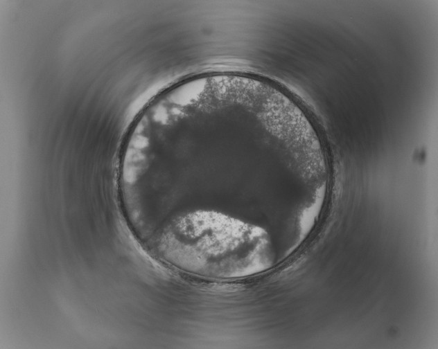 X0000111911325200908171253