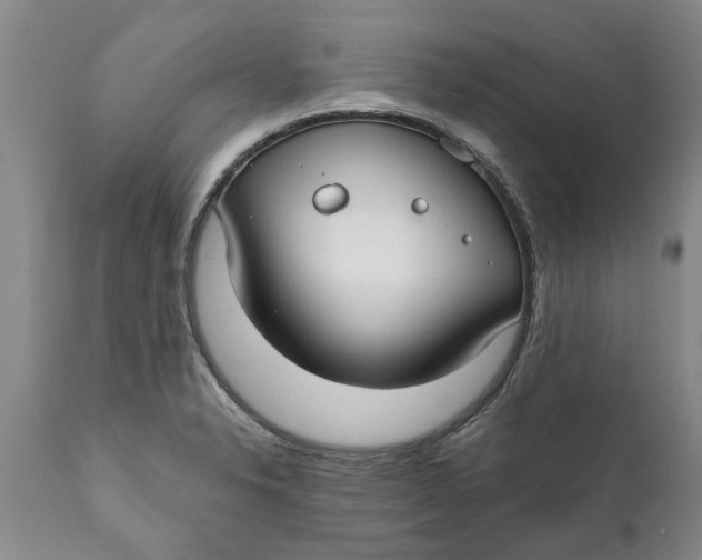 X0000111911326200908171253