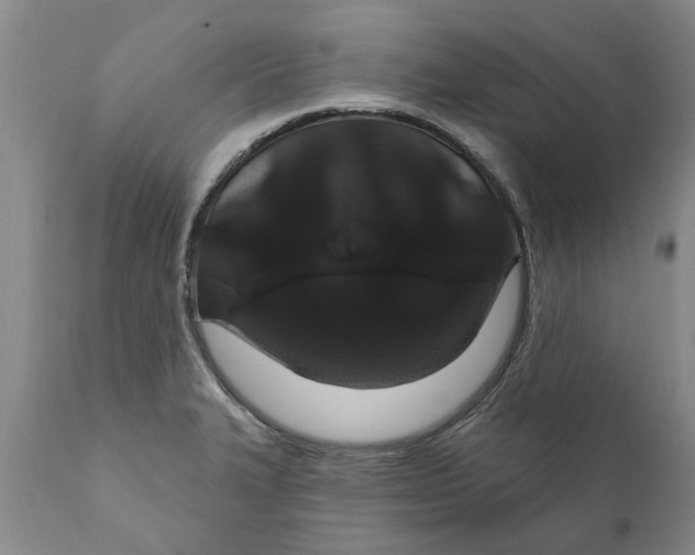 X0000111911327200908171253