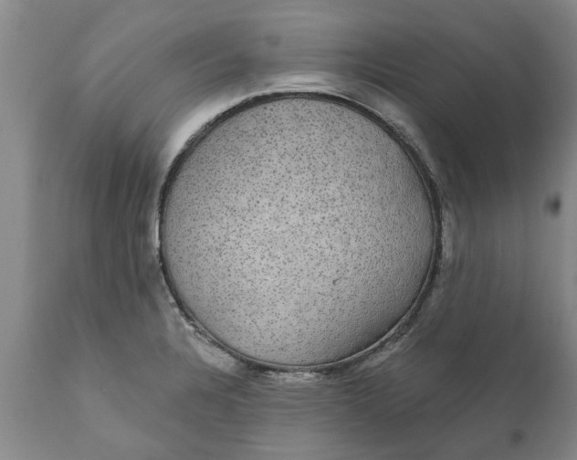 X0000111911328200908171253