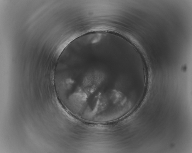 X0000111911329200908171253