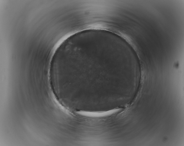 X0000111911331200908171253