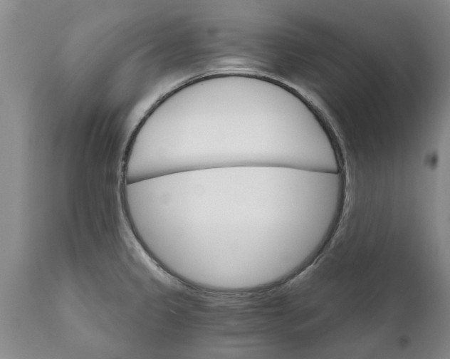 X0000111911333200908171253