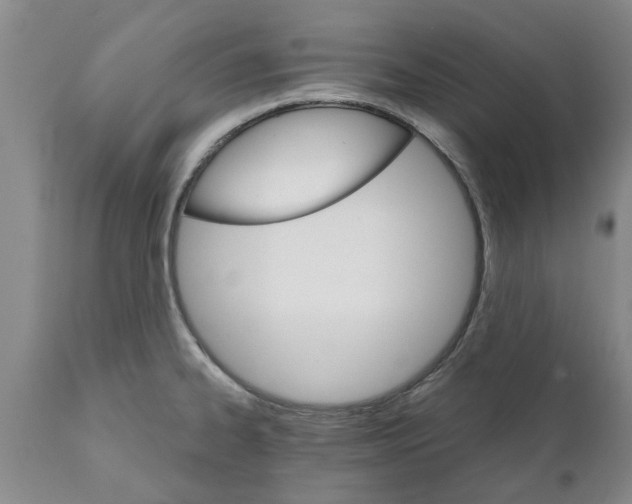 X0000111911334200908171253