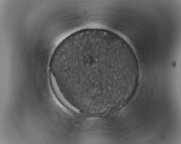 X0000111911335200908171253