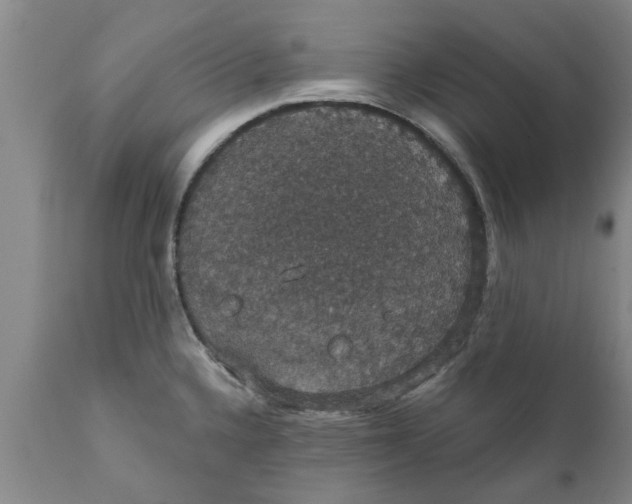 X0000111911336200908171253