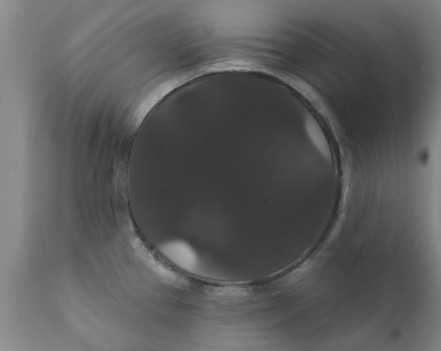 X0000111911337200908171253