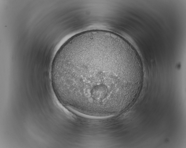 X0000111911339200908171253