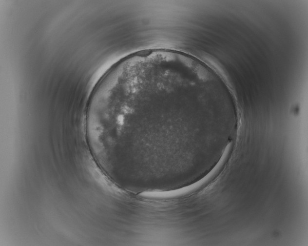 X0000111911340200908171253