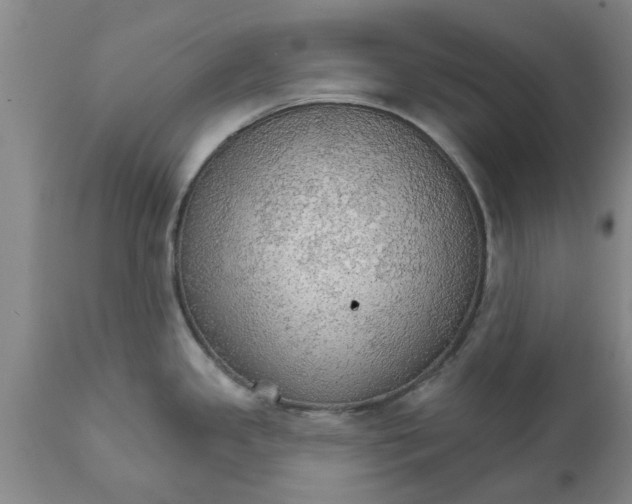 X0000111911341200908171253