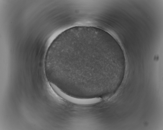 X0000111911344200908171253