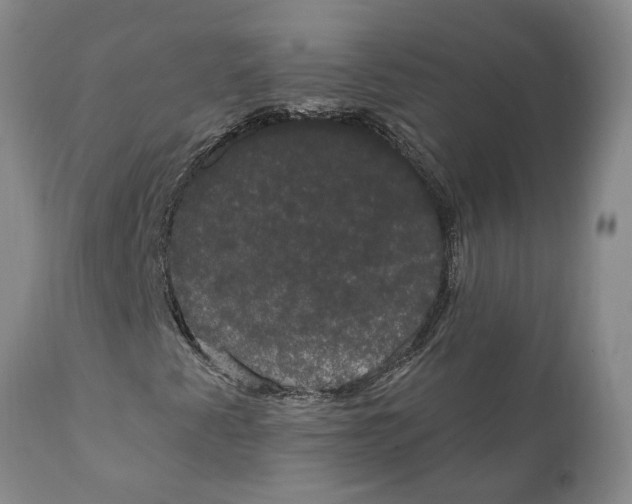 X0000111911345200908171252