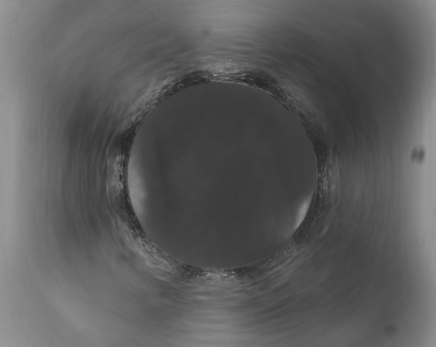 X0000111911346200908171252