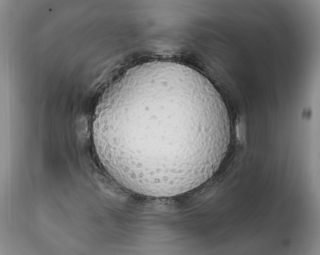 X0000111911347200908171252