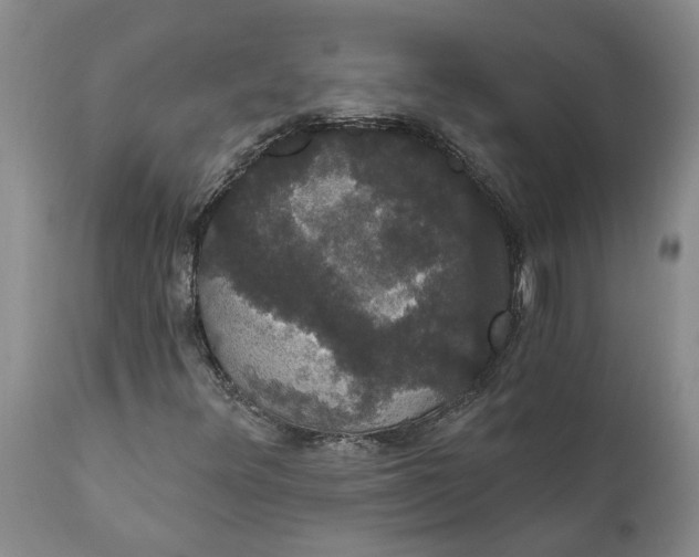 X0000111911348200908171252