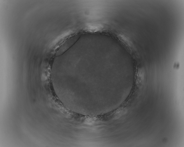 X0000111911349200908171252