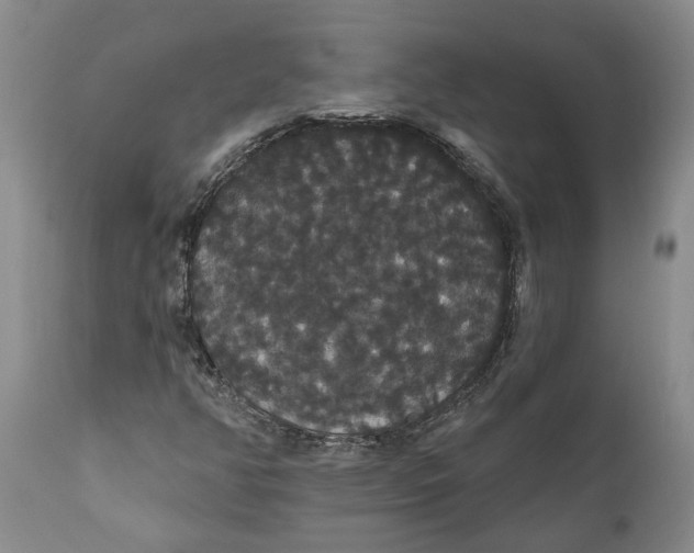 X0000111911350200908171252