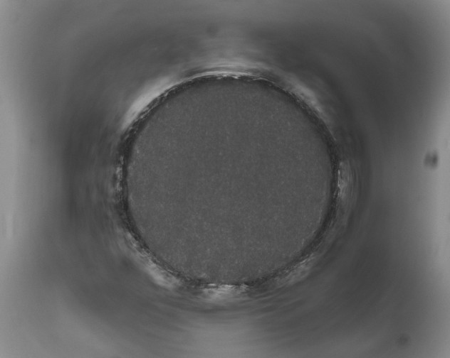 X0000111911352200908171252