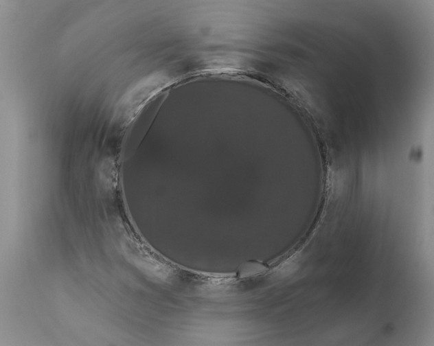 X0000111911353200908171252