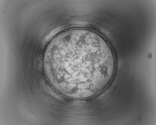 X0000111911354200908171252