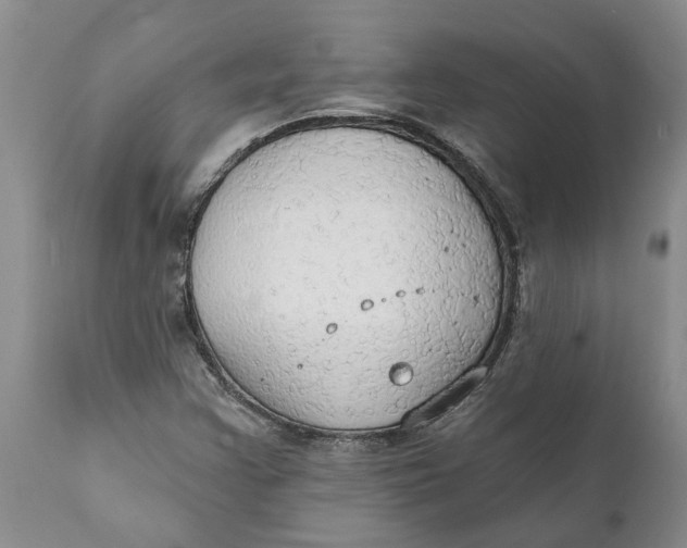 X0000111911355200908171252