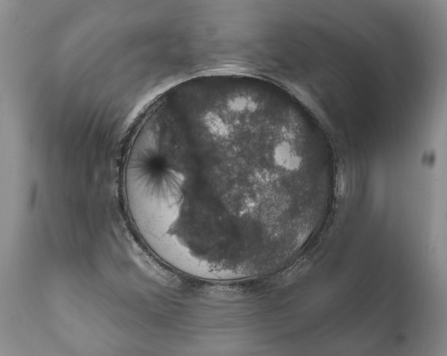 X0000111911356200908171252