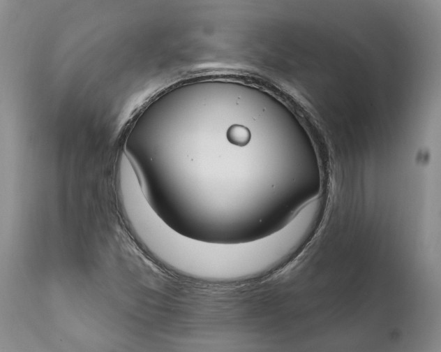 X0000111911357200908171252