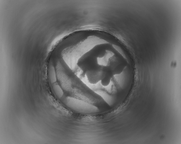 X0000111911358200908171252