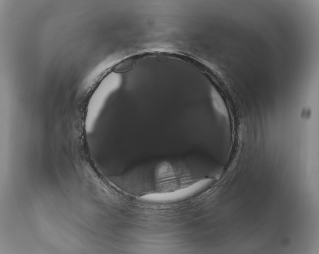 X0000111911359200908171252