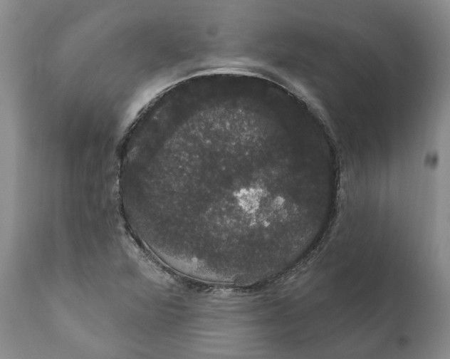 X0000111911360200908171252