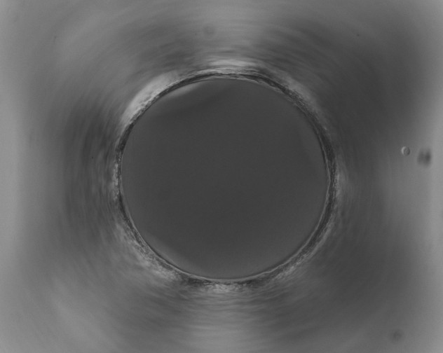 X0000111911362200908171252