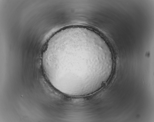 X0000111911363200908171252