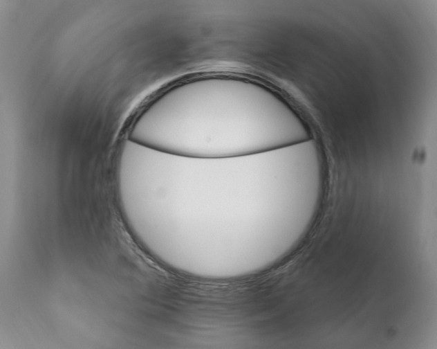 X0000111911364200908171252