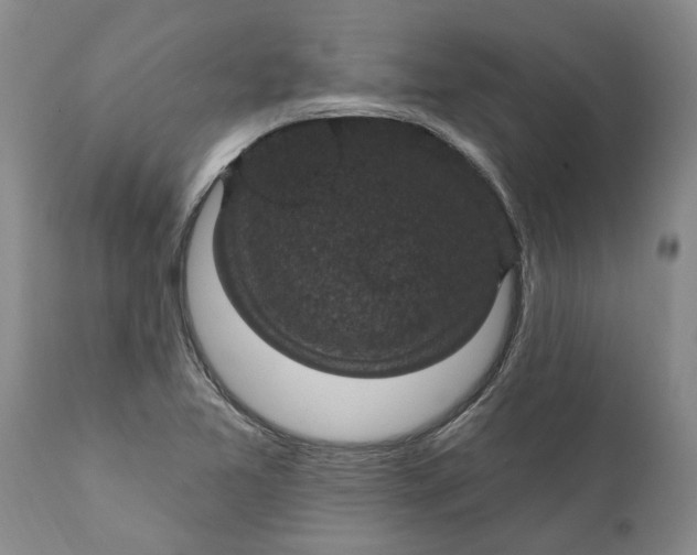 X0000111911365200908171252