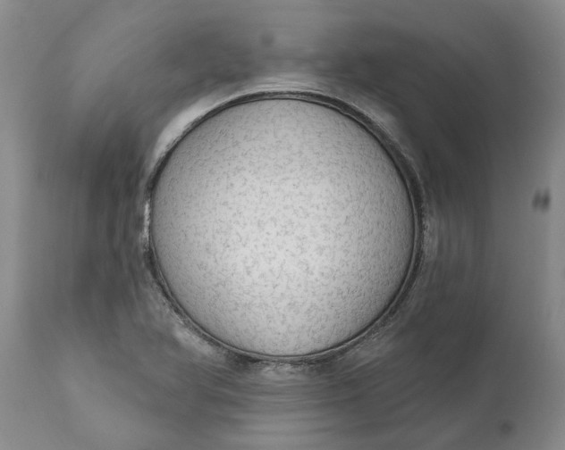 X0000111911366200908171252