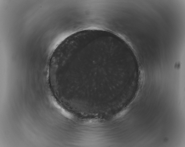 X0000111911367200908171252