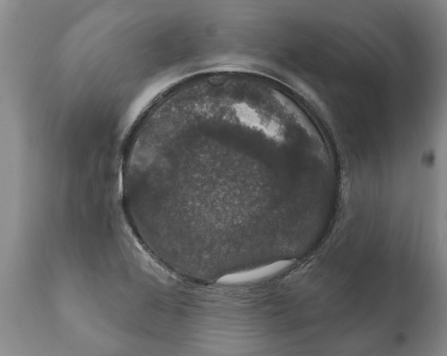 X0000111911368200908171252